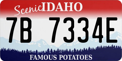 ID license plate 7B7334E