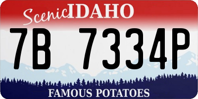 ID license plate 7B7334P