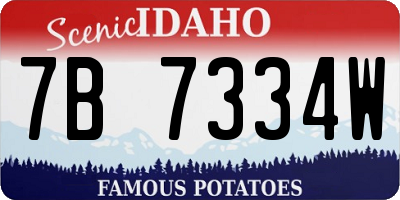 ID license plate 7B7334W