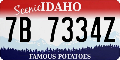 ID license plate 7B7334Z