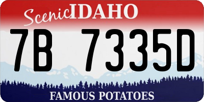 ID license plate 7B7335D