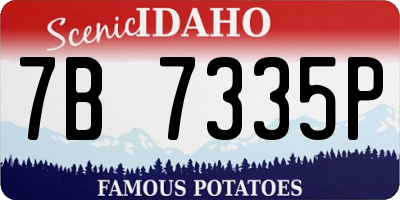 ID license plate 7B7335P