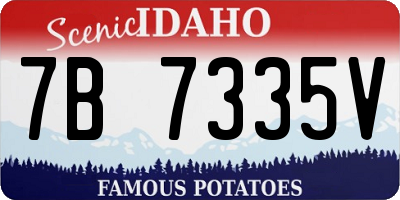 ID license plate 7B7335V