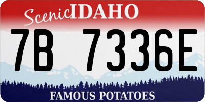 ID license plate 7B7336E