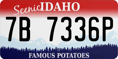 ID license plate 7B7336P