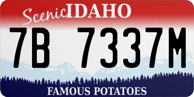 ID license plate 7B7337M