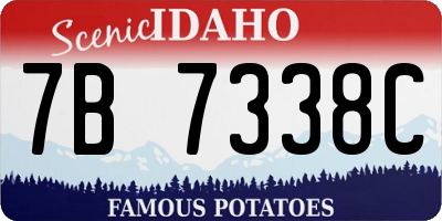 ID license plate 7B7338C