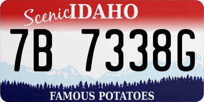 ID license plate 7B7338G