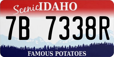ID license plate 7B7338R