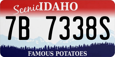 ID license plate 7B7338S
