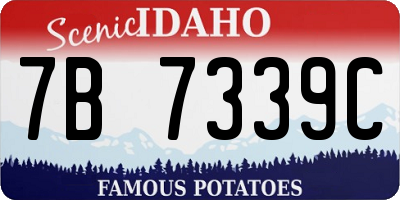 ID license plate 7B7339C