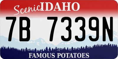 ID license plate 7B7339N