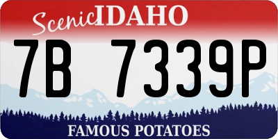 ID license plate 7B7339P