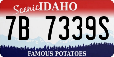ID license plate 7B7339S