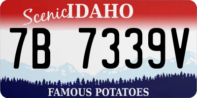 ID license plate 7B7339V