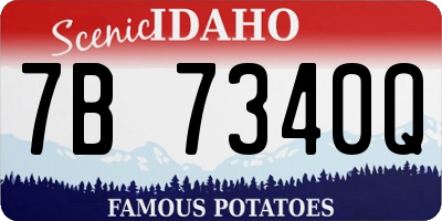 ID license plate 7B7340Q