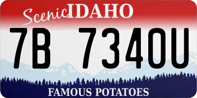ID license plate 7B7340U