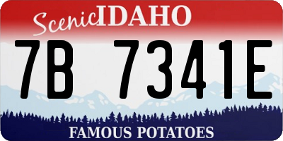 ID license plate 7B7341E