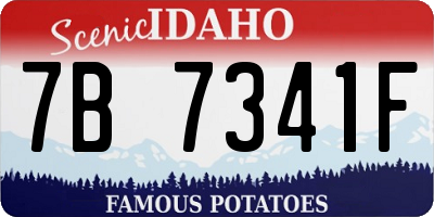 ID license plate 7B7341F