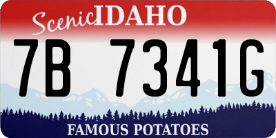 ID license plate 7B7341G