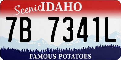 ID license plate 7B7341L