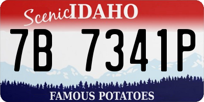 ID license plate 7B7341P