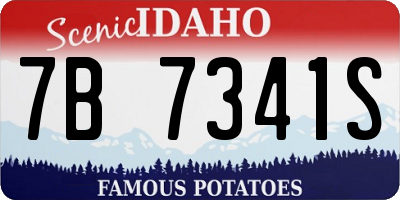 ID license plate 7B7341S