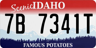ID license plate 7B7341T