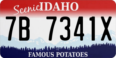 ID license plate 7B7341X