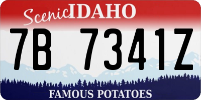 ID license plate 7B7341Z