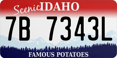 ID license plate 7B7343L
