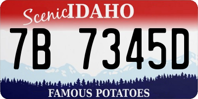 ID license plate 7B7345D