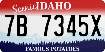 ID license plate 7B7345X