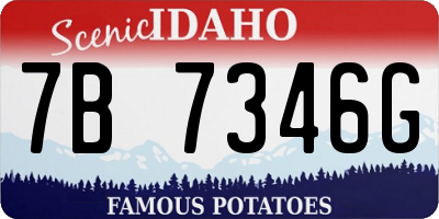 ID license plate 7B7346G