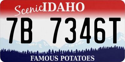 ID license plate 7B7346T