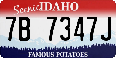 ID license plate 7B7347J
