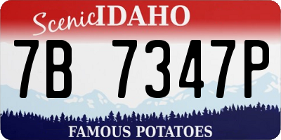 ID license plate 7B7347P