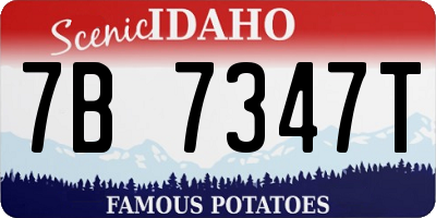 ID license plate 7B7347T