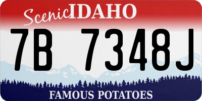 ID license plate 7B7348J