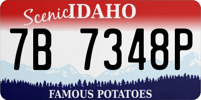 ID license plate 7B7348P
