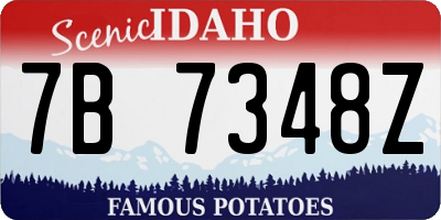 ID license plate 7B7348Z