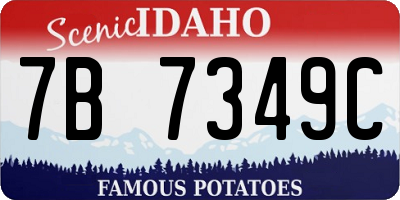 ID license plate 7B7349C