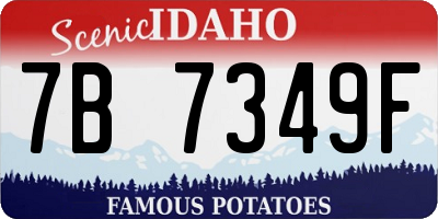 ID license plate 7B7349F