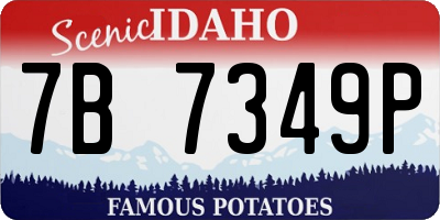 ID license plate 7B7349P