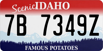 ID license plate 7B7349Z