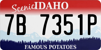 ID license plate 7B7351P