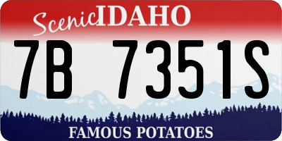 ID license plate 7B7351S