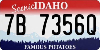 ID license plate 7B7356Q