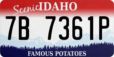 ID license plate 7B7361P