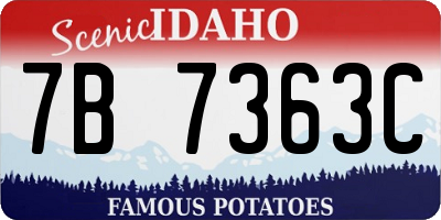 ID license plate 7B7363C